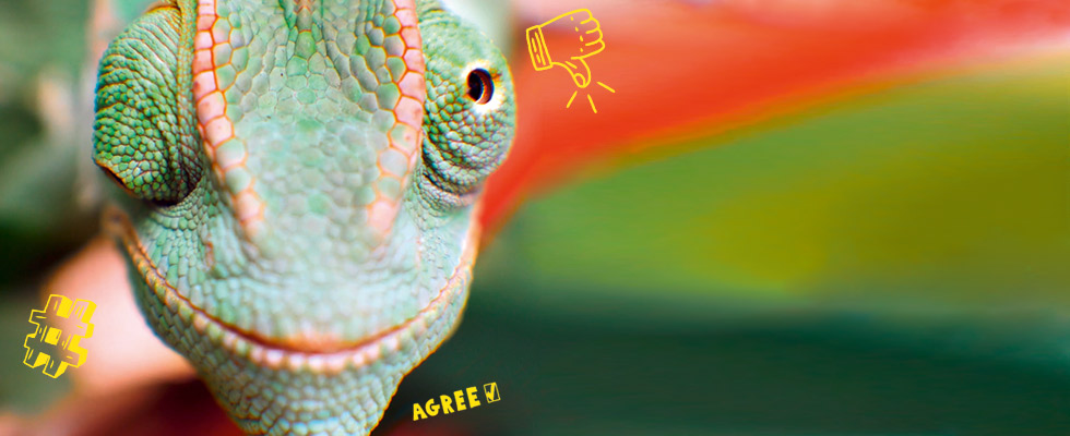 ARAG web@ktiv – Die Rechtsschutzversicherung für dein digitales Leben. ARAG web@ktiv – Die Rechtsschutzversicherung für dein digitales Leben.