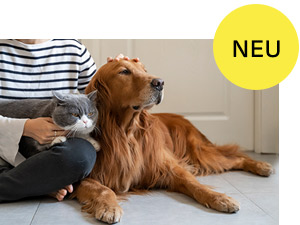 Teaser ARAG Tierkrankenversicherung